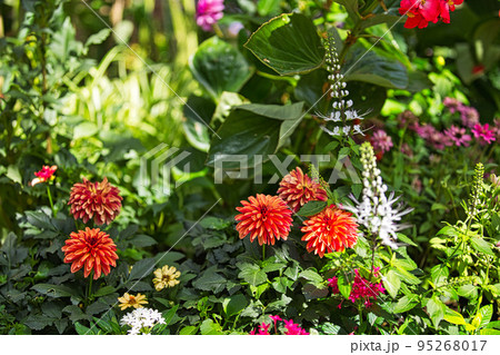 総合グリーンセンター 95268017