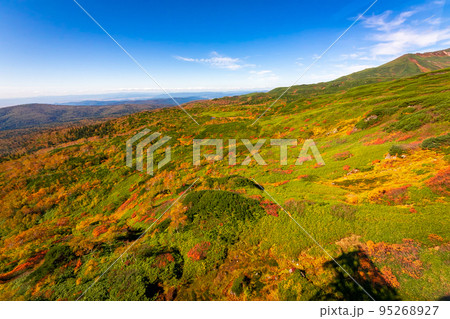 秋の北海道・大雪山の旭岳ロープウェイから見た、山の斜面を彩る紅葉と快晴の青空 95268927