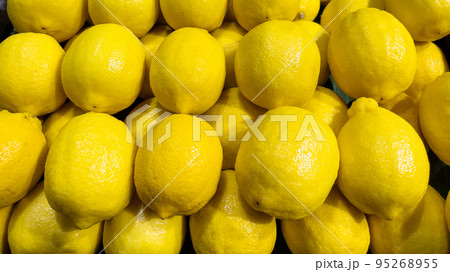 Lemons are arranged in rows as a background. Lemons are arranged in rows as a background. 95268955