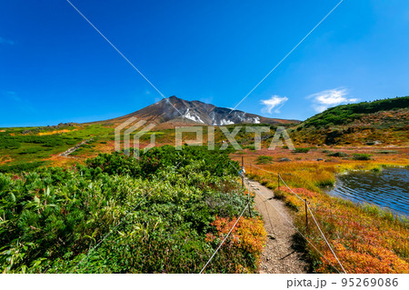 秋の北海道・大雪山の旭岳で見た、カラフルや紅葉や緑の植物と快晴の青空 95269086