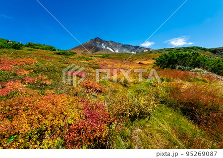 秋の北海道・大雪山の旭岳で見た、山の斜面を彩るカラフルや紅葉と快晴の青空 95269087