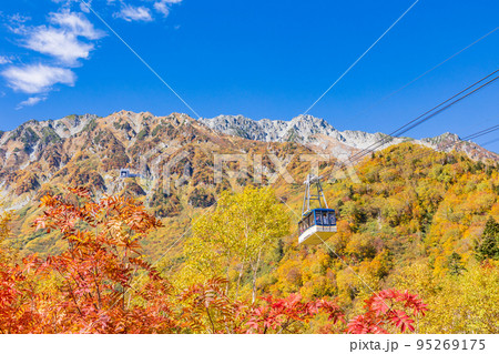 （富山県）立山黒部アルペンルート・黒部平の紅葉・ロープウェイ眺望 95269175