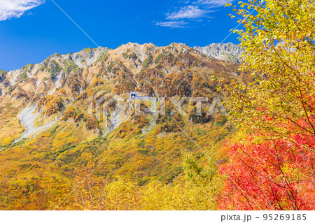 (富山県)立山黒部アルペンルート・黒部平の紅葉・ロープウェイ眺望 (富山県)立山黒部アルペンルート・黒部平の紅葉・ロープウェイ眺望 95269185