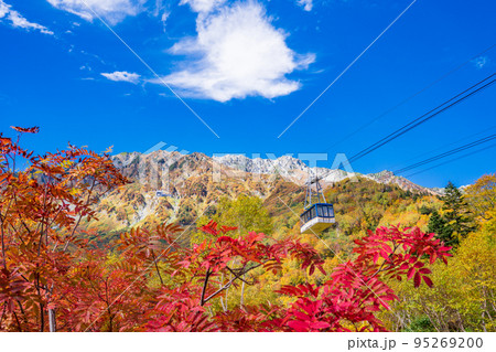 （富山県）立山黒部アルペンルート・黒部平の紅葉・ロープウェイ眺望 95269200