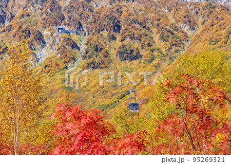 （富山県）立山黒部アルペンルート・黒部平の紅葉・ロープウェイ眺望 95269321
