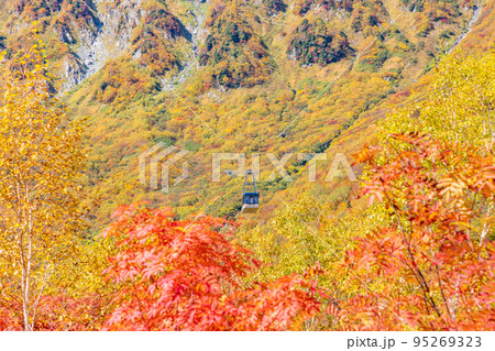 (富山県)立山黒部アルペンルート・黒部平の紅葉・ロープウェイ眺望 (富山県)立山黒部アルペンルート・黒部平の紅葉・ロープウェイ眺望 95269323