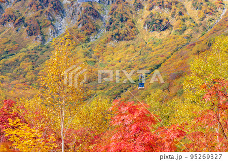 (富山県)立山黒部アルペンルート・黒部平の紅葉・ロープウェイ眺望 (富山県)立山黒部アルペンルート・黒部平の紅葉・ロープウェイ眺望 95269327