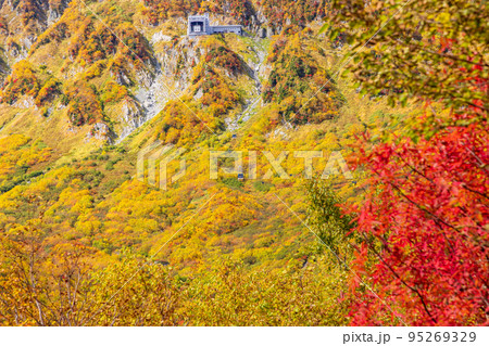 （富山県）立山黒部アルペンルート・黒部平の紅葉・ロープウェイ眺望 95269329