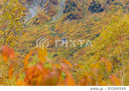 （富山県）立山黒部アルペンルート・黒部平の紅葉・ロープウェイ眺望 95269349