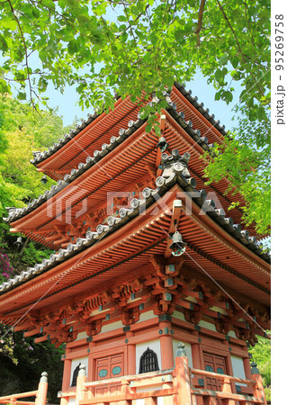 三室戸寺三重塔 三室戸寺三重塔 95269758