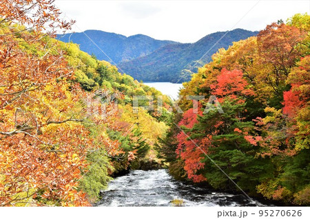 奥日光 錦秋の竜頭の滝 95270626