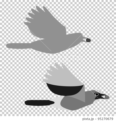 くちばしにドングリをくわえて飛ぶ鳥。シルエットとグレースケールの