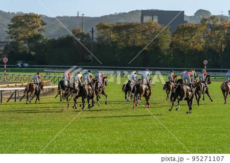 競馬 95271107