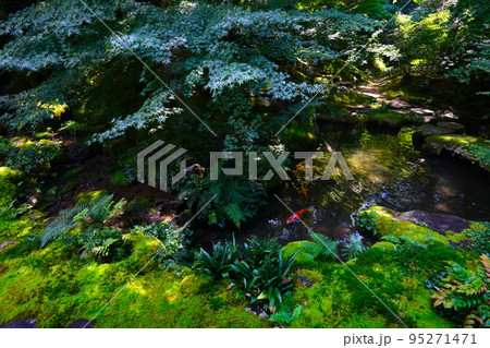 京都の絶景、瑠璃光院 95271471