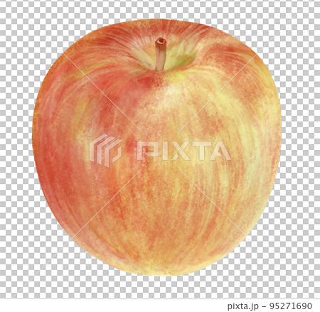 りんごのイラスト（シナノスイート、手描き） 95271690