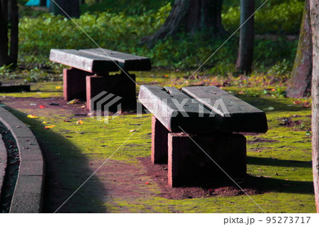 散歩道と公園のベンチ 95273717