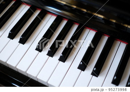 ピアノの鍵盤 ピアノの鍵盤 95273998