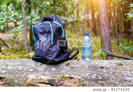Things in a backpack and a bottle of water are on a tree in the forest. Concept kit for survival in the forest. Things in a backpack and a bottle of water are on a tree in the forest. Concept kit for survival in the forest. 95274320