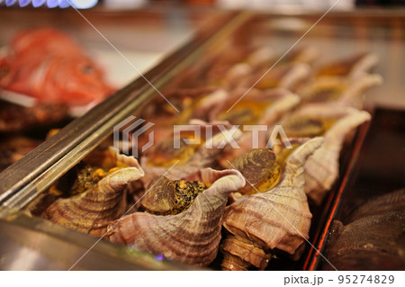 新鮮な貝 新鮮な貝 95274829