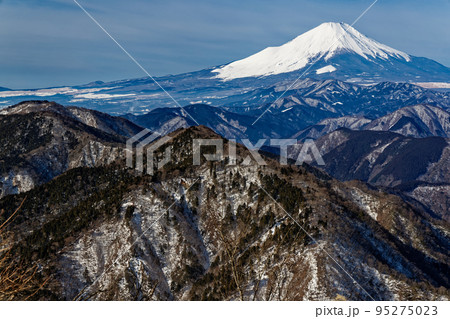 丹沢山地・鍋割山から見る冬の富士山 95275023