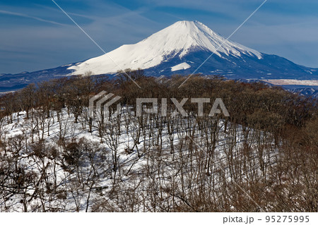 冬の丹沢山地・鍋割山と富士山 95275995