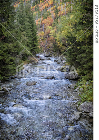 Scenery of brook in Dill valley, High Tatras mountain, Slovakia 95279113