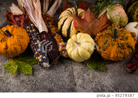 Autumn still life with pumpkin 95279387