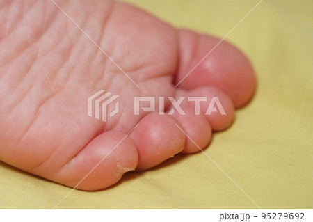 裸足 はだし 素足 95279692