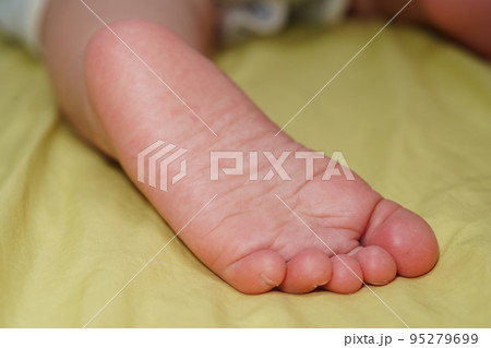 裸足 はだし 素足 95279699