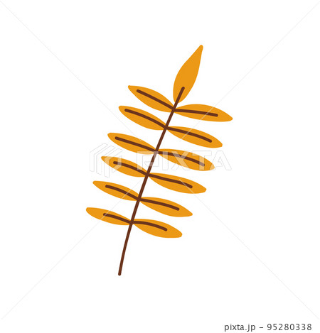 Autumn leaves. Foliage leaf silhouette. Forest vector illustration. 95280338