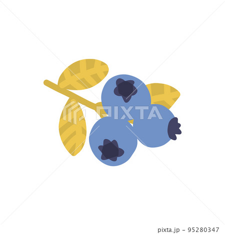 Blueberry vegetarian fresh snack. Blackberry healthy food. Vector vegan berries Blueberry vegetarian fresh snack. Blackberry healthy food. Vector vegan berries 95280347