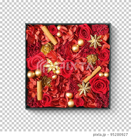 Preserved flower rose illustration real Preserved flower rose illustration real 95280927