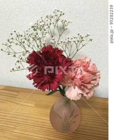 カーネーションとかすみ草のある暮らし 95282239