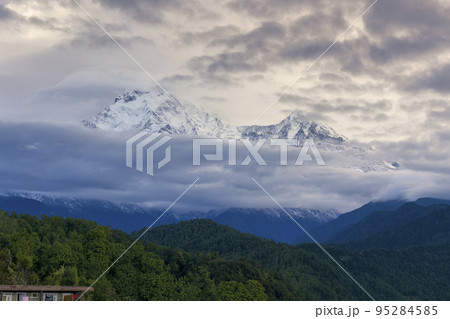 ネパール・ダンプスから望むアンナプルナ南峰、ヒウンチュリ峰 / Dhampus, Nepal ネパール・ダンプスから望むアンナプルナ南峰、ヒウンチュリ峰 / Dhampus, Nepal 95284585