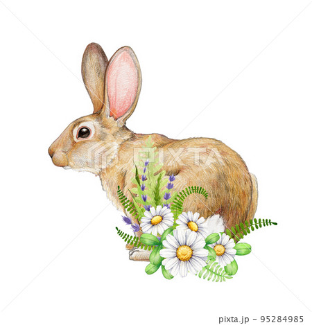 Cute bunny with daisy flowers. Watercolor illustration. Springtime cozy flower Easter decor with bunny. Hand drawn small cute rabbit with white daisies, lavender, fern. White background Cute bunny with daisy flowers. Watercolor illustration. Springtime cozy flower Easter decor with bunny. Hand drawn small cute rabbit with white daisies, lavender, fern. White background 95284985