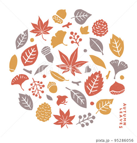 秋の紅葉と植物のはんこ風イラストセット 95286056