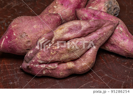 sweet potato tuberous roots 95286254