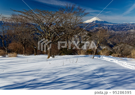 冬の丹沢山地・鍋割山から見る富士山 95286395