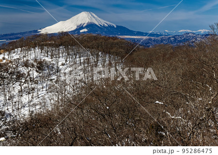 冬の丹沢山地・鍋割山と富士山・南アルプスの眺め 95286475
