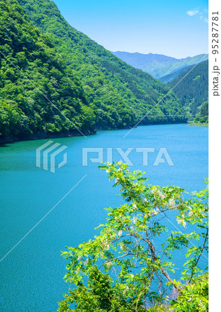 秩父湖 二瀬ダム 初夏の風景 秩父湖 二瀬ダム 初夏の風景 95287781