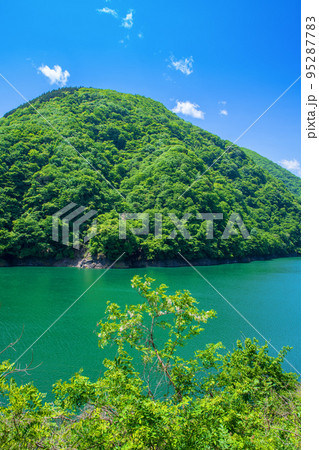 秩父湖　二瀬ダム　初夏の風景 95287783