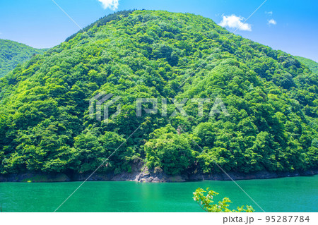 秩父湖　二瀬ダム　初夏の風景 95287784