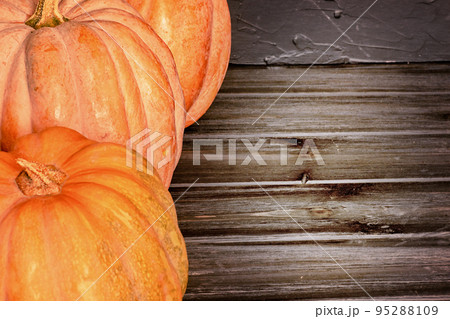 Three ripe orange pumpkins on a black background. Harvest, pumpkins. 95288109