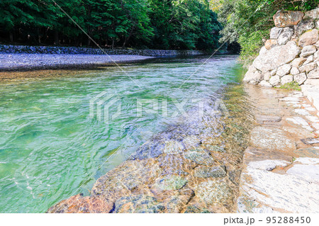 美しい五十鈴川 美しい五十鈴川 95288450