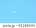 すっきりと晴れた青空に浮かぶ昼の月（6月） 95288595