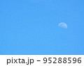 すっきりと晴れた青空に浮かぶ昼の月（6月） 95288596