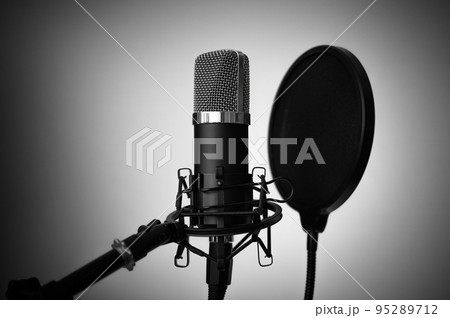 マイクで収録 マイクで収録 95289712