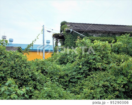 放置されたままの住宅 95290306