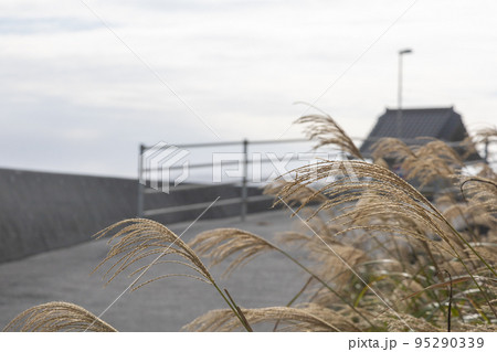 茨城県日立市　初崎海岸の津神社 95290339