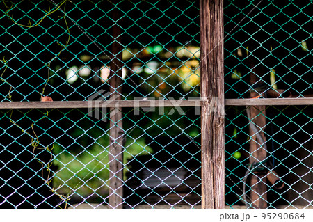 古い納屋のフェンス張りの窓 古い納屋のフェンス張りの窓 95290684